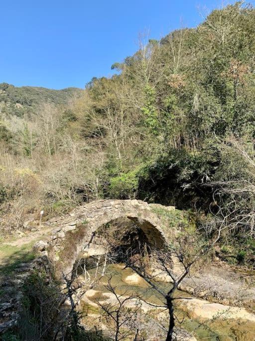 דירות Rocchetta Nervina Casa Bertagna מראה חיצוני תמונה